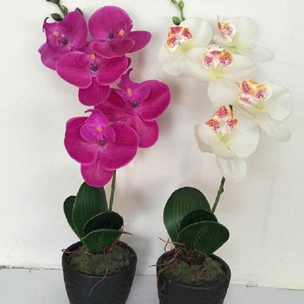 Set 2 Artificial Single Stem Orchid in Plastic Pot 32cm.