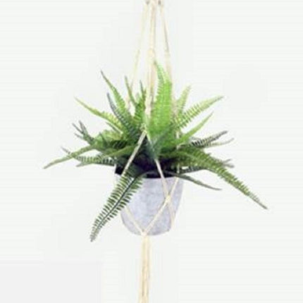Home & Garden Cartoz.