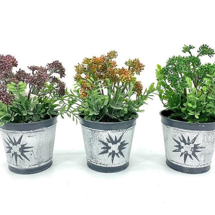 Home & Garden Cartoz.