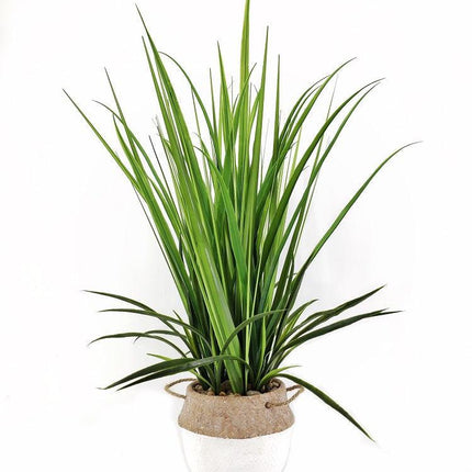 Artificial Grass in Cement Pot 76cm.