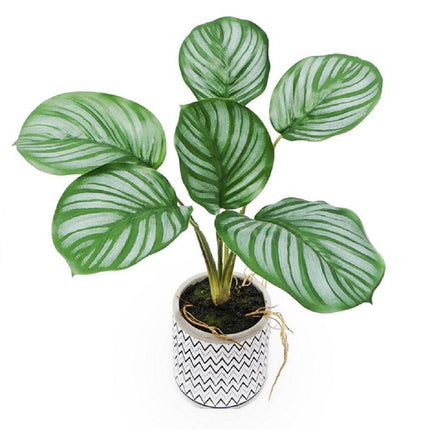Artificial Calathea in Cement Pot 31cm.