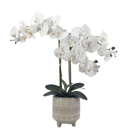Artificial Orchid in Ceramic Pot 58cm.