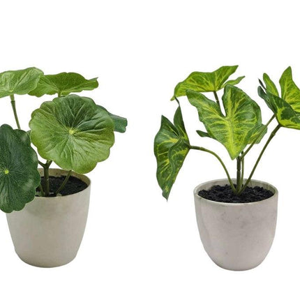 Set 2 Artificial Taro & Lotus Plant In Plastic Pot 7x15cm.