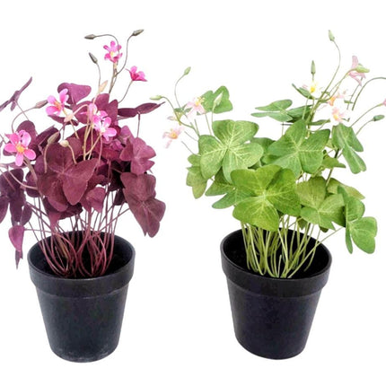 Set 2 Artificial Oxalis Triangularis Plant In Plastic Pot 10x35cm.