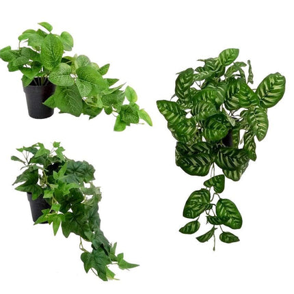 Set 3 Artificial Peacock in Pot Assort 38cm.