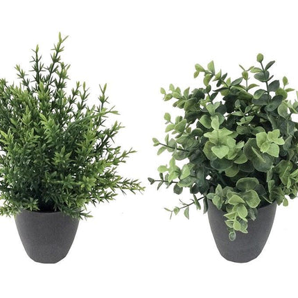 Set 2 Artificial Grass in Pot Assort 25cm.