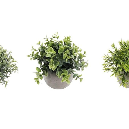 Set 3 Artificial Plant in Cement Pot Assort 18cm.