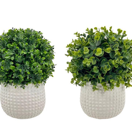 Set 2 Artificial Boxwood Topiary Ball in Ceramic Pot 29cm.