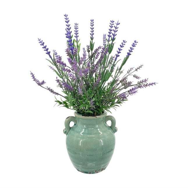 Appliances > Aroma Diffusers & Humidifiers > Aroma Diffusers.