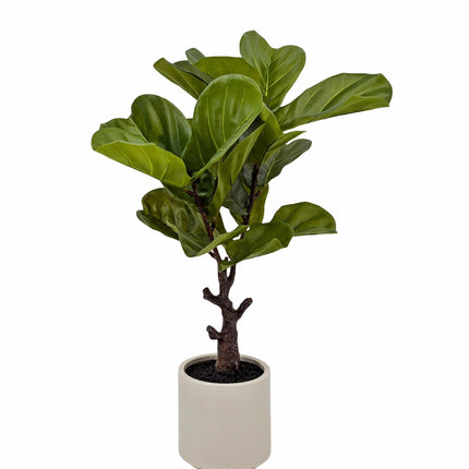 Artificial Real Touch Fiddleleaf Tree 75cm.