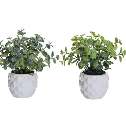 Set 2 Artificial Mini Greenery in Ceramic Pot 7x13cm.