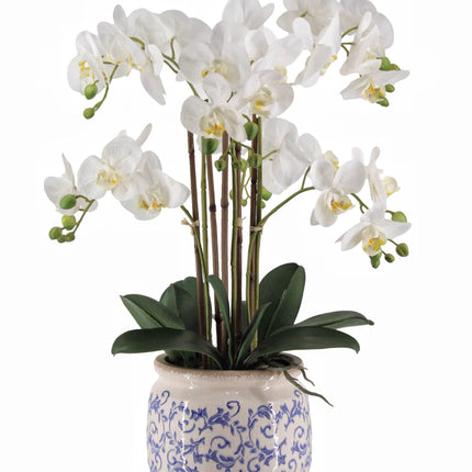 Real Touch Artificial Orchid in Pot 61cm.
