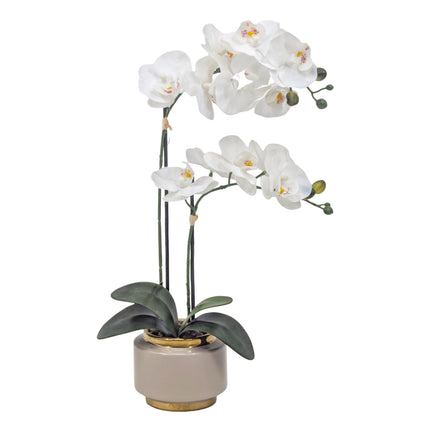 Real Touch Artificial Orchid Pot 50cm.