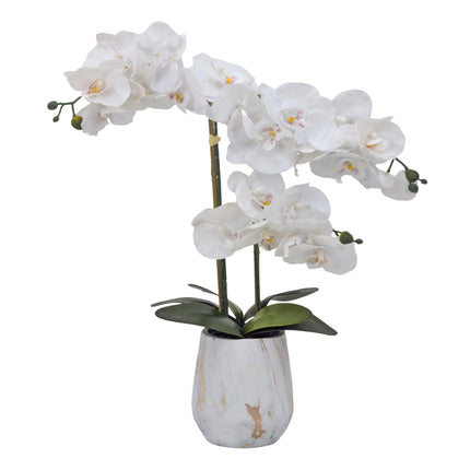 Real Touch Artificial Orchid Pot 55cm.