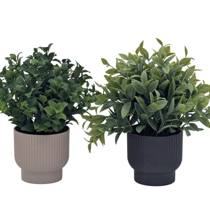 Bulk 24 Artificial Greenery In Pot 24cm 2 Asst