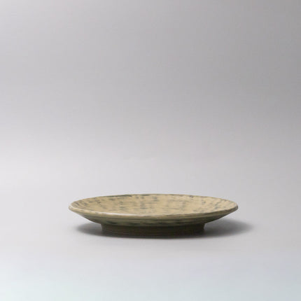 Thick Edge Plate 25cm Washed Fern.