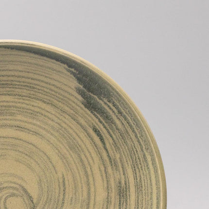 Dinner Plate 26cm Washed Fern.