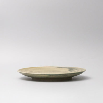 Dinner Plate 26cm Washed Fern.
