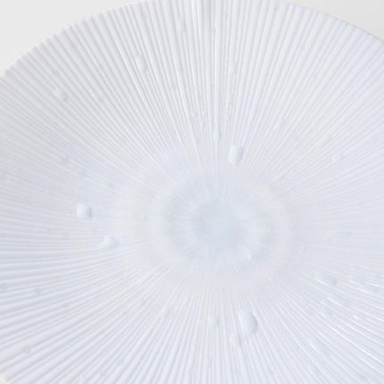 Dinner Plate 24.5cm Ice White Glaze.