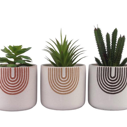 Set 3 Rainbow Ceramic Pot Planter 13cm.