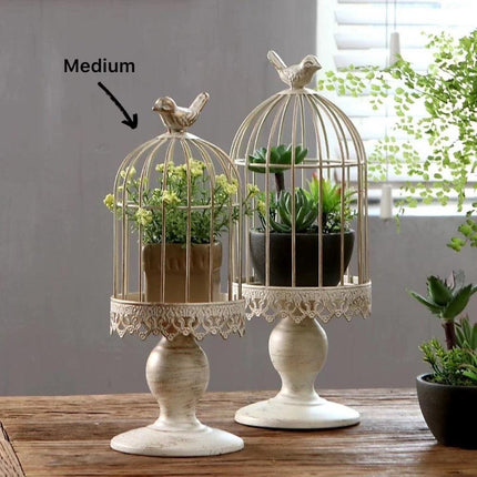 Home & Garden Cartoz.