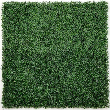 Boxwood Hedge Screen Green Wall Panel UV Resistant 100cm x 100cm.