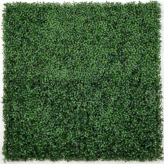 Boxwood Hedge Screen Green Wall Panel UV Resistant 100cm x 100cm.