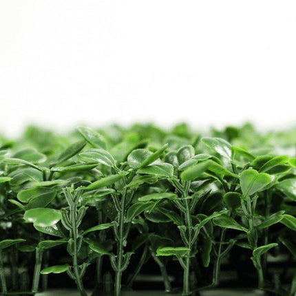Boxwood Hedge Screen Green Wall Panel UV Resistant 100cm x 100cm.