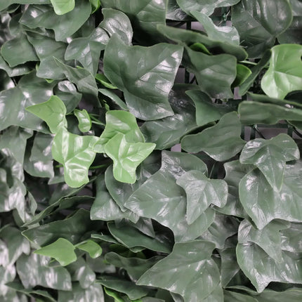 Boston Ivy Leaf Screen Green Wall Panel UV Resistant 1m x 1m.