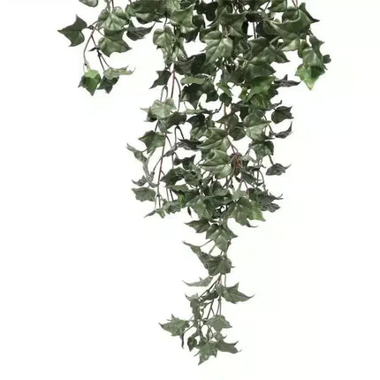 Hanging English Ivy Bush 80cm UV Resistant.