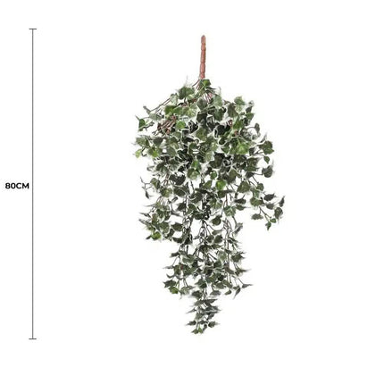 Mixed Green and White Tipped Ivy Bush 80cm UV Resistant.