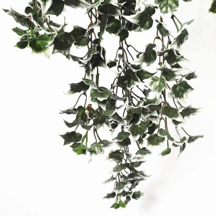 Mixed Green and White Tipped Ivy Bush 80cm UV Resistant.