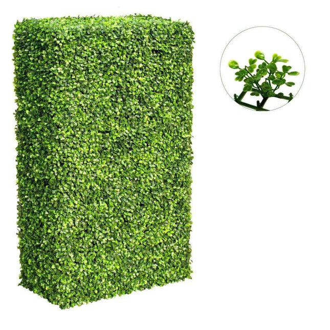 Large Portable Mixed Boxwood Hedge UV Resistant 100cm Long x 200cm High.