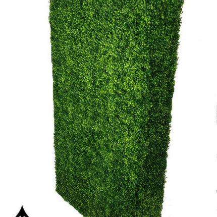 Large Portable Mixed Boxwood Hedge UV Resistant 100cm Long x 200cm High.