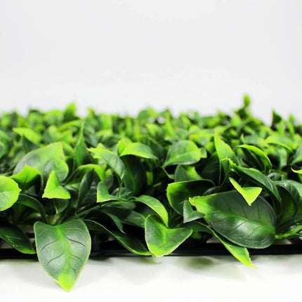 Jasmine Hedge Screen Green Wall Panel UV Resistant 100cm x 100cm.