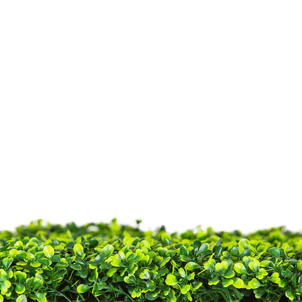 Mixed Boxwood Hedge UV Resistant 75cm Long x 75cm High.