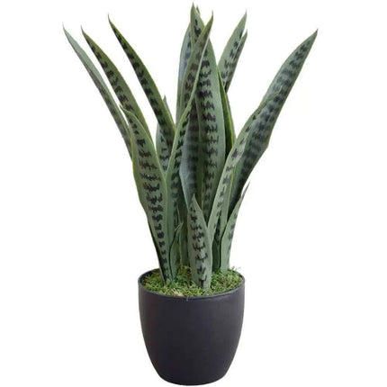 Artificial Snake Plant Sansevieria UV Resistant 60cm.