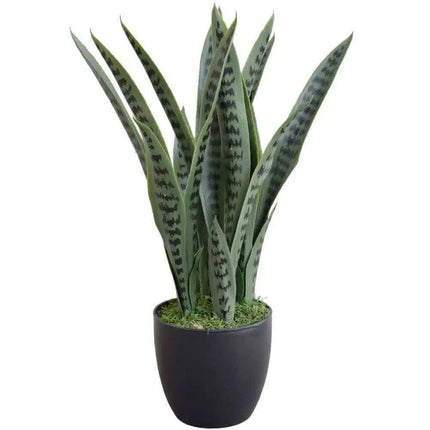 Artificial Snake Plant Sansevieria UV Resistant 60cm.