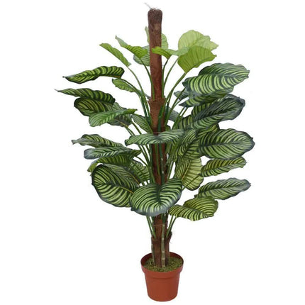 Pond Leaf Plant 110cm.