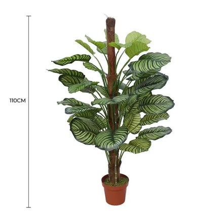 Pond Leaf Plant 110cm.