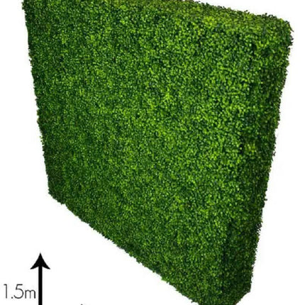 Large Portable Mixed Boxwood Hedge 1.5m by 1.5m UV Resistant.