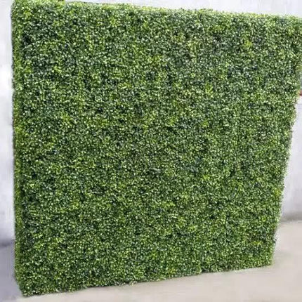 Large Portable Mixed Boxwood Hedge 1.5m by 1.5m UV Resistant.