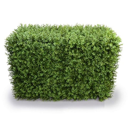 Deluxe Portable Buxus Hedge UV Resistant 100cm Long x 50cm High.