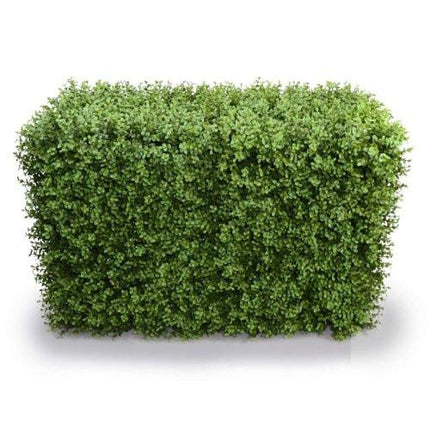 Home & Garden Cartoz.