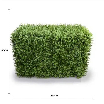 Home & Garden Cartoz.