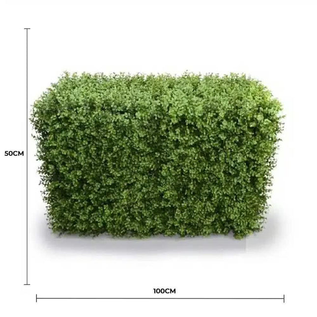 Deluxe Portable Buxus Hedge UV Resistant 100cm Long x 50cm High.
