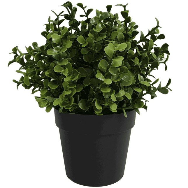 Small Potted Artificial Buxus Plant UV Resistant 20cm.