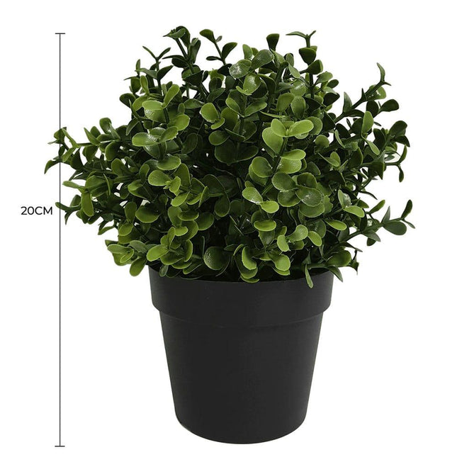 Small Potted Artificial Buxus Plant UV Resistant 20cm.