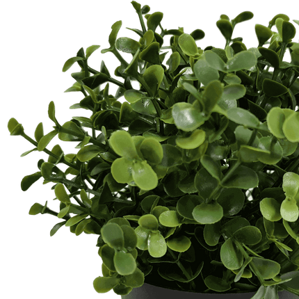 Small Potted Artificial Buxus Plant UV Resistant 20cm.
