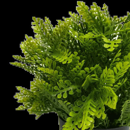 Small Potted Artificial Mimosa Fern UV Resistant 20cm.